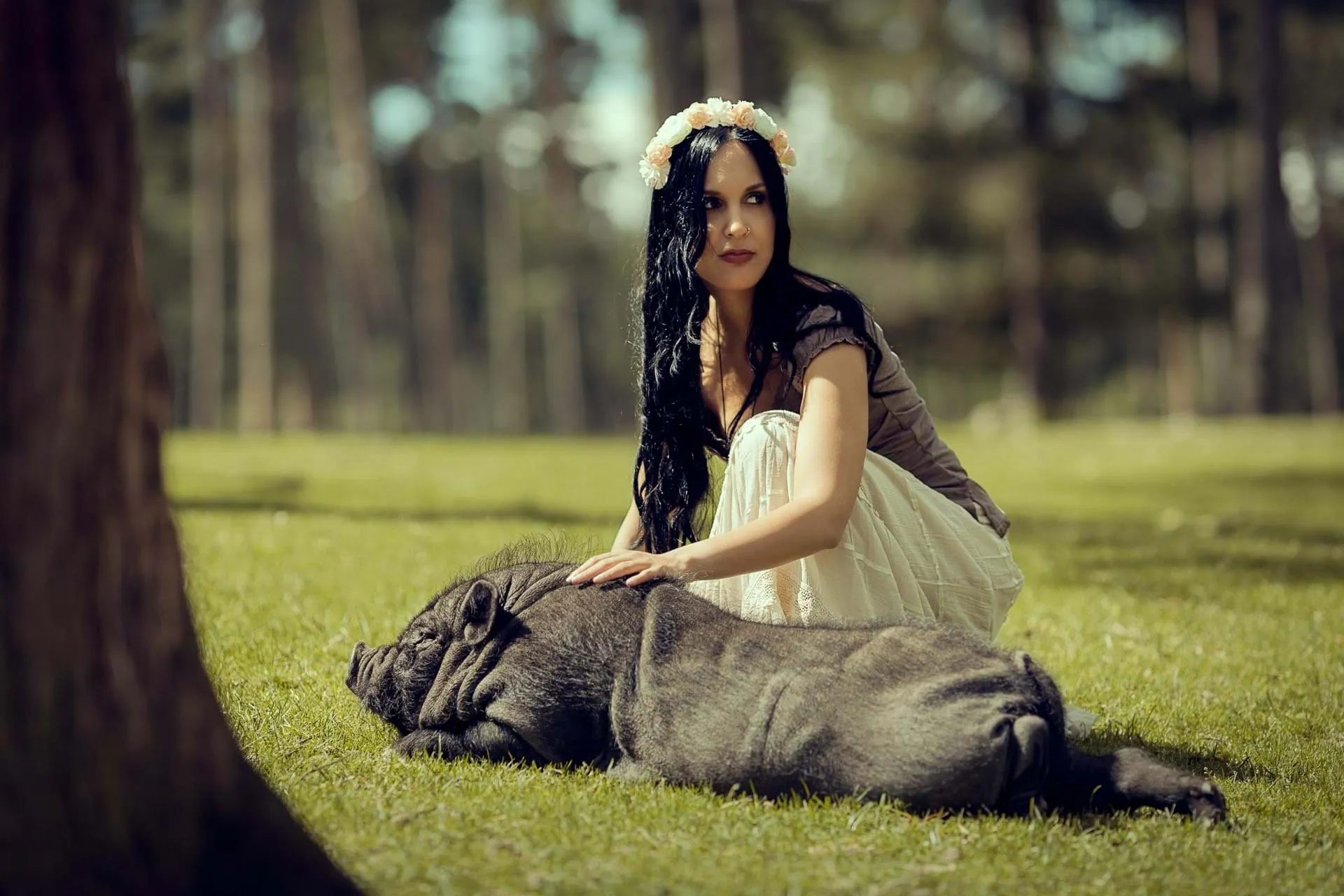 CARECOM Photography